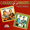 Canario e Passarinho - Saudades de Mat o