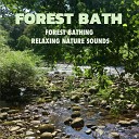 Forest Bath - Forest Bathing Soothing Wind by Waters Edge