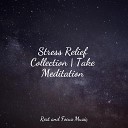 Relaxation Sleep Meditation Sleep Waves Chakra Meditation… - Fogs of Sweetness