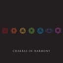 Opening Chakras Sanctuary - Connection to Illumination