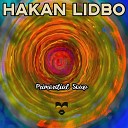 Hakan Lidbo - Primordial Soup Lola Allen Remix