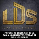 LDS Los Del Sabor - Popurr De Sones Son De La Rabia Los Enanitos Verdad De Dios Los…