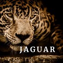 Jaguar - Te Vas Con El