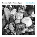 Thomas Sejthen S ren Bigum - Morning Dew