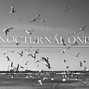 Nocturnal One - Symbolic Acts