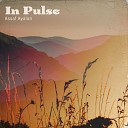 Assaf Ayalon - In Pulse