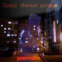Дмитрий2D - Среди темных дворов