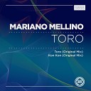 Mariano Mellino - Toro Original Mix