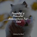 Music For Cats TA Music for Pets Library Cat Music… - Music for Relaxation