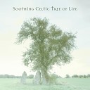 Irish Celtic Spirit of Relaxation Academy - Wild Stream