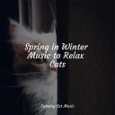 Cat Music Experience Music for Pets Library Jazz Music Therapy for… - Stress Relief