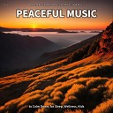 Relaxing Music by Melina Reat Instrumental Sleep… - Peaceful Music Pt 5