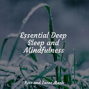 Binaural Beats Brain Waves Isochronic Tones Brainwave Entrainment Deep Sleep Music Academy Sleep Songs… - Symphony of Sleep