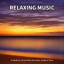 Peaceful Music Instrumental Sleep Music - Relaxing Music Pt 5