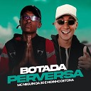 Hidinho Detona feat MC Neguin da 20 - Botada Perversa