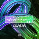 Drumsound Bassline Smith - Jungle Dub Here Comes