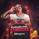 GENINHO PLAYBOY - Botada nas Bandidas