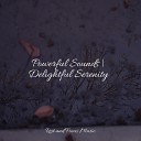 The Sleep Specialist Instrumental Preschool… - Bathed in Moonlight