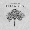 Jo o Barreto - Like a Clock Pointer