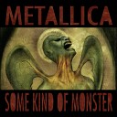 Metallica - Some Kind Of Monster Edit