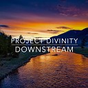 Divinity Project - Downstream