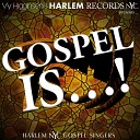 Vy Higginsen s Harlem Nyc Gospel Singers - Faith feat Dejahnee Richardson