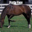 The Hi Lites - Pretty Face