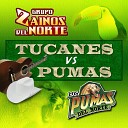 Los Pumas del Norte - Morenita de San Luis Potosi