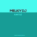 Melkiy Dj - Kaktuz Fabio Remix