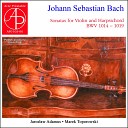 Marek Toporowski Jaros aw Adamus - Sonata No 3 in E Major BWV 1016 II Adagio