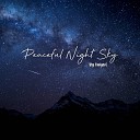 Aniyeol - Peaceful Night Sky