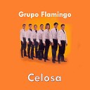 Grupo Flamingo - Celosa
