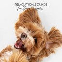 Just Relax Music Universe feat Relaxation Meditation Songs… - Magic Piano for Sleep