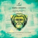 Simina Grigoriu - Techno Monkey Wex 10 Remix