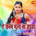 Hemant Harjai - Ye Sanam Bhula Na Jaihia