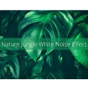 White noise effect - Forest Noise Ambient Effect for Focus