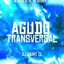 DJ SAINT ZL feat MC SILLVEER Mc Novin da ZS - AGUDO TRANSVERSAL