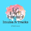 Imulsa R Tracks - Drohne 2Tk23