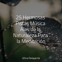 Relajar Natureza Musica Relajante New Age… - Sentirse Mejor