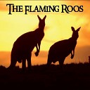 The Flaming Roos - Electric Eyes