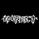 Infect USA IL - Concerto Of Pain