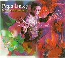 Papa Linley - Let The Sunshine In Radio Edit