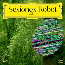 Sesiones Robot - Paseo