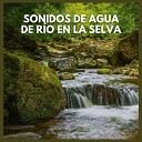 Sonidos de la Selva - Sonidos de Agua de R o en la Selva P59