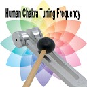 Human Chakra Tuning - Root Chakra Healing 256Hz Physical Emotional Body…