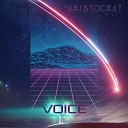 DJ Aristocrat - Voice