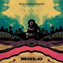 Africa Express feat Phuzekhemisi BCUC Muzi Gruff… - Vessels