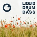 Dreazz - Liquid Drum Bass Sessions 2021 Vol 43