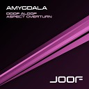 Amygdala - Aspect Overturn Live Version