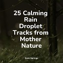 Zen Meditate Sleepy Times Avslappning Sound - Sounds of Rain and Thunder